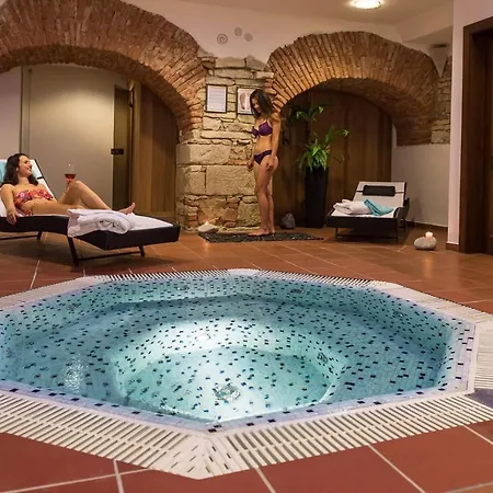 Hotel Hejtmansky Dvur Slaný