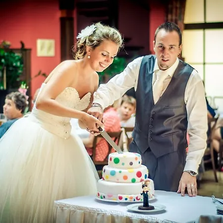 酒店 Hejtmansky Dvur 斯安尼