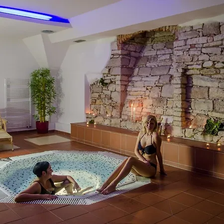 Hejtmansky Dvur 4* Slaný