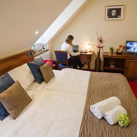 Hejtmansky Dvur Slaný