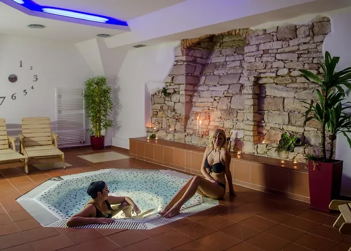 Hejtmansky Dvur 4* Slaný