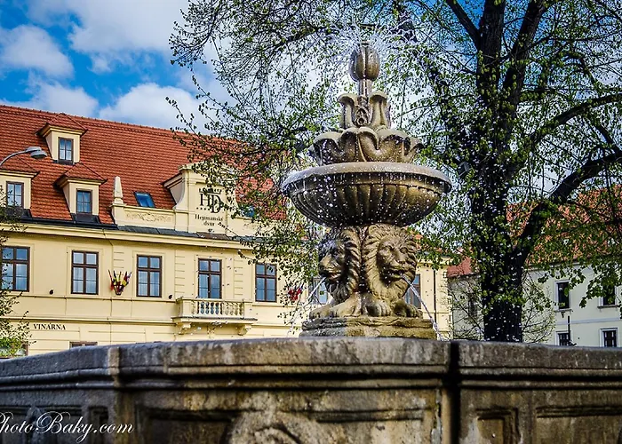 Hotel Hejtmansky Dvur